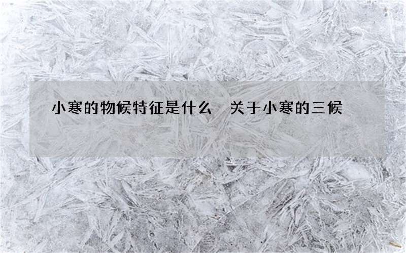 小寒的物候特征是什么 关于小寒的三候